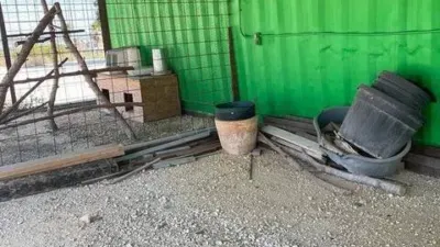 Rustic house in Matola-La Foia-Las Bayas-La Marina photo 19