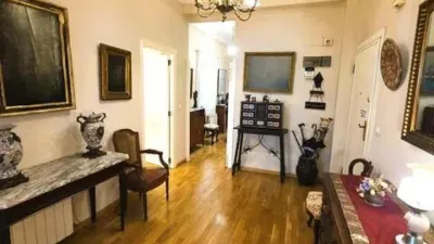 Apartment in El Botànic photo 19