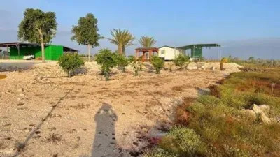 Casa – Elche, Regs del Porvenir, la Marina - Vista 4