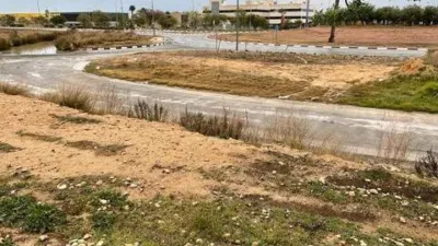 Pis – Elx / Elche, la Vila, el Baix Vinalopó - Vista 2