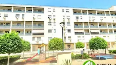 Apartment in Palmete photo 3