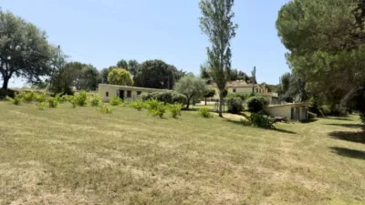 Chalet in Riudarenes photo 27