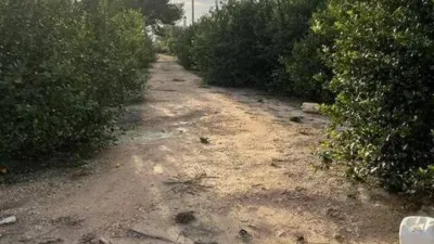 Terreno en venta en Matola-La Foia-Las Bayas-La Marina - Més