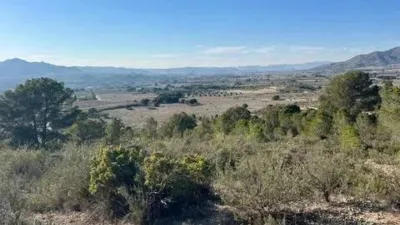 Casa – Sax, l'Alt Vinalopó / El Alto Vinalopó - Vista 3