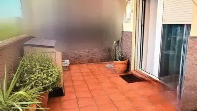 Apartment in Palmete photo 5