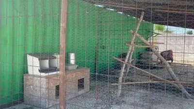 Rustic house in Matola-La Foia-Las Bayas-La Marina photo 14