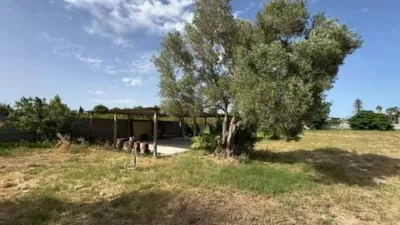 Piso – Orihuela - Vista 3