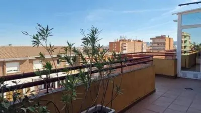 Apartment in San Roque-La Concordia photo 10