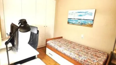 Apartment in El Botànic photo 17