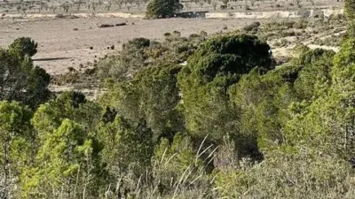 Casa – Sax, l'Alt Vinalopó / El Alto Vinalopó - Vista 2