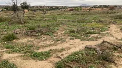 Pis – Elx / Elche, la Vila, el Baix Vinalopó - Vista 3