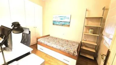 Apartment in El Botànic photo 18