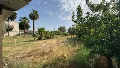 Piso – Orihuela - Más