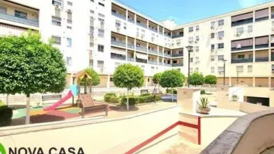 Apartment in Palmete photo 4