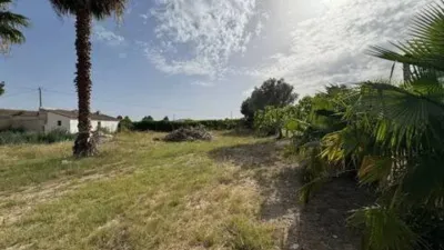 Piso – Orihuela - Vista 4
