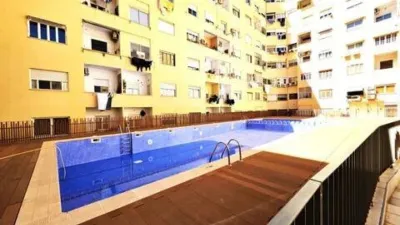 Apartment in El Botànic photo 44