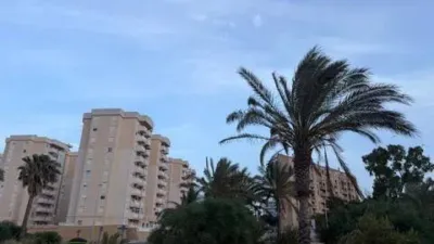 Apartment in Playa Paraíso-Playa Honda photo 19