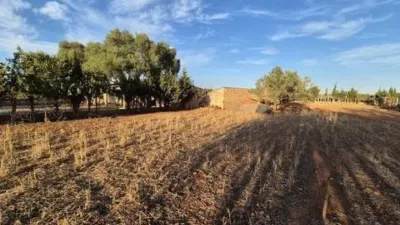 Rustic house in Muro photo 15