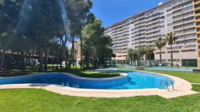 Apartment in Orihuela photo 23