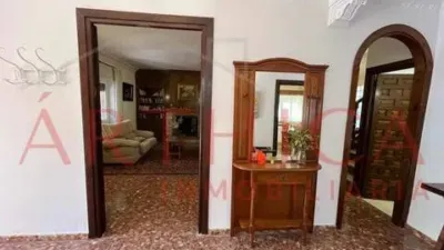 Chalet on Calle Diseminado Poligono 7, 14 A photo 32