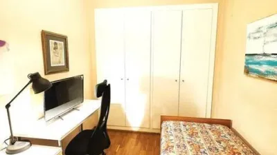 Apartment in El Botànic photo 21