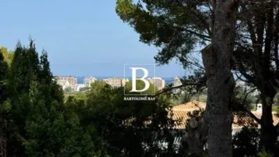 Terreno en venta en Calle de la Orquídea - Vista 4