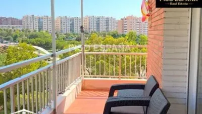 Pis – Alicante - Alacant - Vista 4