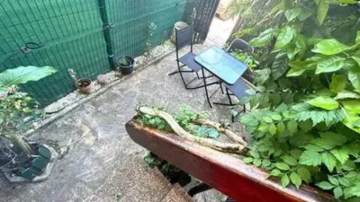 Ground-floor apartment on Calle de los Nogales photo 2