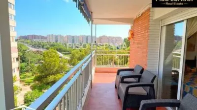 Apartment in Playa de San Juan photo 28