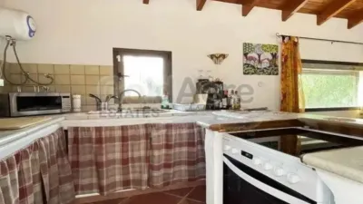 Chalet in La Oliva photo 12