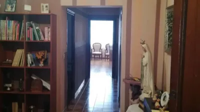 Apartment in Plasencia photo 4