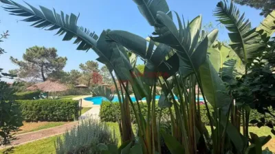 Apartment in Lepe photo 19