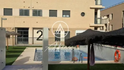 Apartment in Vícar photo 4