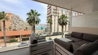 Apartment in Puerto photo 14