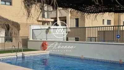 Apartment in Vícar photo 3