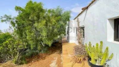 Chalet in La Oliva photo 32