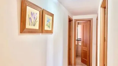 Apartment on Calle Sefardí photo 12