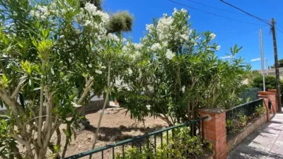 Chalet en Santa Cristina d'Aro photo 23