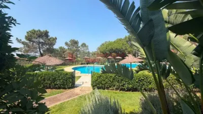 Apartment in Lepe photo 2
