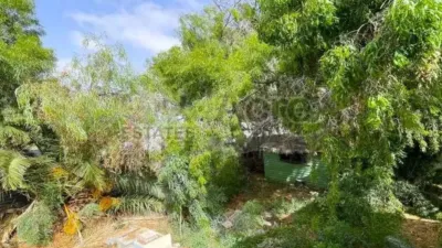 Chalet in La Oliva photo 43
