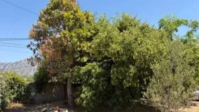 Chalet in Els Hostalets de Pierola photo 9