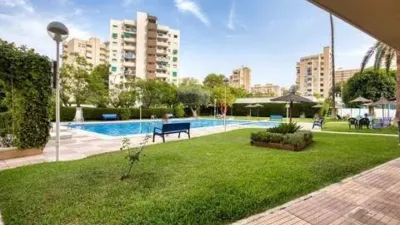 Apartment in Alicante - Alacant photo 31