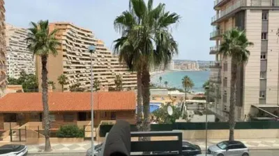 Apartment in Puerto photo 3