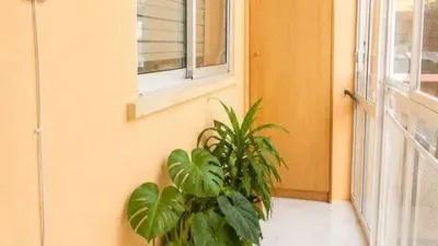 Apartment in Quintana photo 13