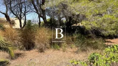 Terreno en venta en Calle de la Orquídea - Vista 3