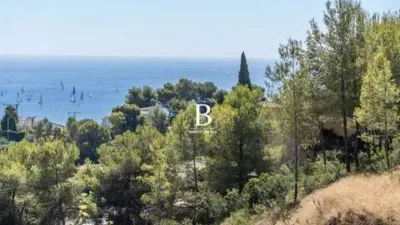 Terreno en venta en La Corona-Aduanas - Vista 5