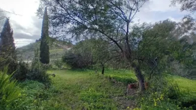 Rustic house in Alozaina photo 27
