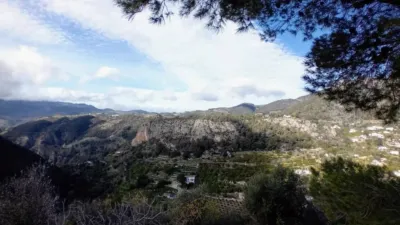 Rustic house in Alozaina photo 25