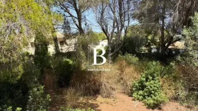 Terreno en venta en Calle de la Orquídea - Más
