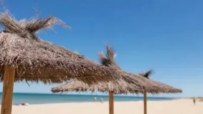 Chalet in Gran Alacant photo 17